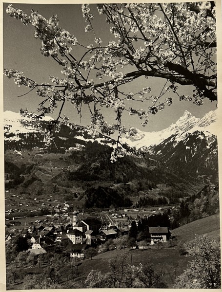 Old Photo - Mountain Landscape - 20th Century