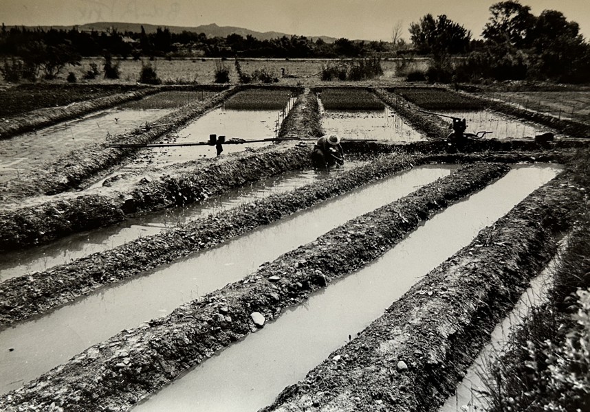 Black-and-white Photo - Lanscape - Lucien Viguier - 1960s