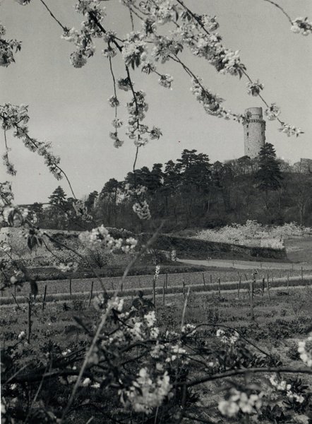 Black-and-white Photo - Lanscape of France - Marcel Louchet
- 20th Century