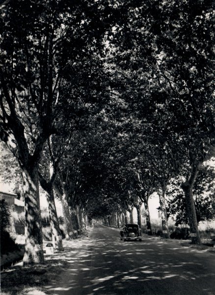 Vintage Photo - Lanscape of France - Lucien Viguier
- 20th Century