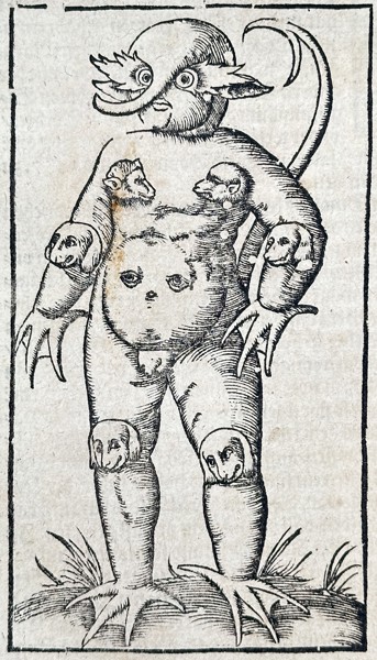 Sebastian Münster (1488–1552) – Monstrous Figure of Poland – Woodcut (1550)