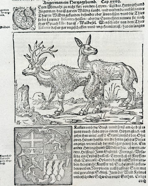 Sebastian Münster (1488–1552) – Illustration of Northern European Wildlife and Heraldry – Woodcut (1550)