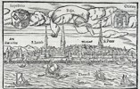 Sebastian Münster (1488–1552) – Bird’s-Eye View of the City of Basle – Woodcut (1550)
