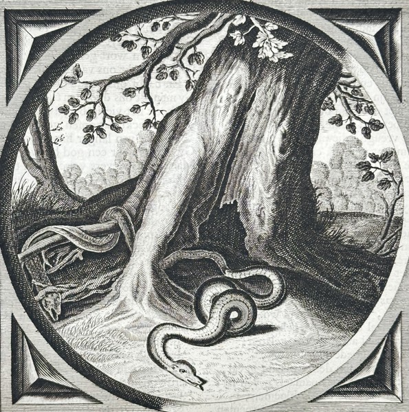 Jacob Cats (1577–1660) – Emblematic Illustration: Temptation in Old Age – Letterpress text with copper engraving (1650)
