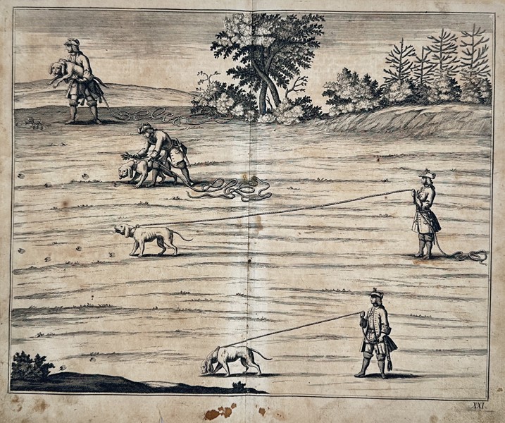 Johann Elias Ridinger (1698–1767) – Training and Use of Tracking Hounds – Copperplate engraving (18th Century)