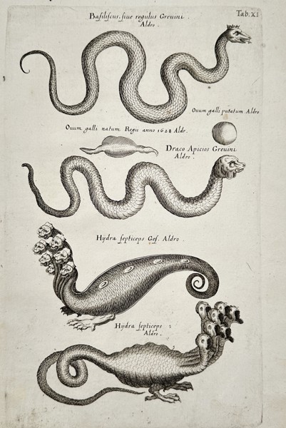 Jan Jonston (1603–1675) – Study of Mythological Serpents and Hydras – Engraving (1657)