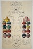 Pieter Willem Marinus Trap – Sinhalese demon figure and eighteen disease masks – Lithograph (1893)
