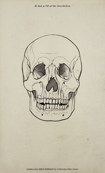George Shaw (1551-1813) – Frontal View of a Human Skull – engraving (1800)