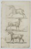 Matthäus Merian the Younger (1621-1687) – Studies of Unicorns – engraving (1650)