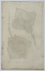 George Shaw (1751–1813) – Natural History Study of Tuberculated and Eglantine Rays – Engraving (1804)