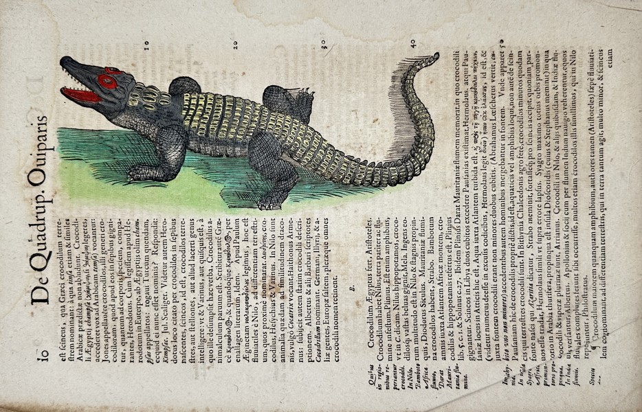 Conrad Gessner - "Historia animalium" - Hand-coloured Woodcut - Crocodile