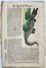 Conrad Gessner - "Historia animalium" - Hand-coloured Woodcut - Crocodile