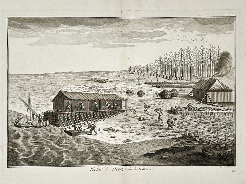 Robert Bénard (1734–1777) – View of Cod Fishing – Engraving (1778)