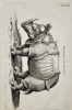 Jan Jonston (1603–1675) – Study of a Rhinoceros – Engraving (1650)