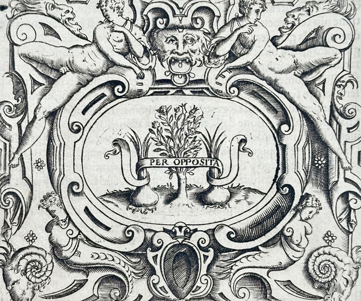 Girolamo Ruscelli (1504–1566) – Emblem of Girolamo Faleti with Rose and Onions – Engraving (1566)
