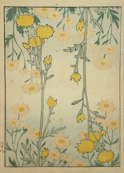 Japanese School (20th Century) – Cascading Yellow Chrysanthemums – Woodcut (20th Century)