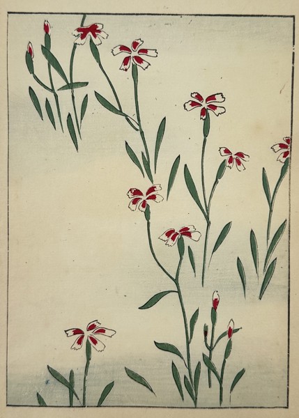 Japanese School (20th Century) – Wild Carnations – Woodcut (20th Century)