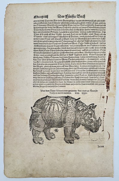 Sebastian Munster (1488–1552) – Rhinoceros – Woodcut (1550)