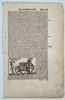 Sebastian Munster (1488–1552) – Rhinoceros – Woodcut (1550)