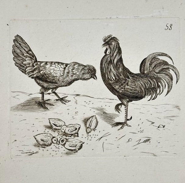 Unknown Artist – Study of a Rooster, Hen, and Chicks – Etching