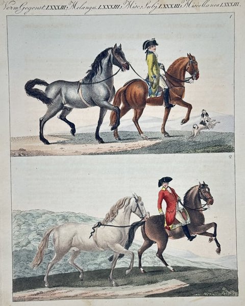 Friedrich Justin Bertuch – Equestrian Studies – Hand-colored engraving