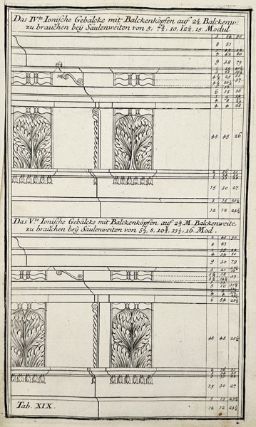 Nikolaus Goldmann (1611–1665) – Ionic Entablature with Joist Ends – Engraving (1696)