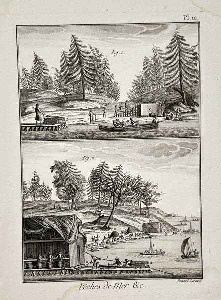 Robert Benard (1734-1777) – View of industrial fishing methods – Engraving (18th Century)