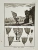 Robert Bénard (1734-1777) – View of net fishing techniques – Engraving (18th Century)