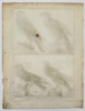 Robert Benard (1734–1777) – Natural History: Ornithological Studies of Hawks and Buzzards – Engraving (c. 1770–1780)