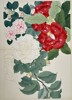 Tanigami Konan (1879–1928) – Camellias in Bloom – Woodblock print (1923)