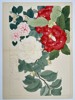 Tanigami Konan (1879–1928) – Camellias in Bloom – Woodblock print (1923)