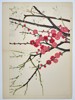 Tanigami Konan (1879–1928) – Flowering Plum Branches – Woodblock print (1923)
