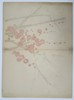 Tanigami Konan (1879–1928) – Flowering Plum Branches – Woodblock print (1923)