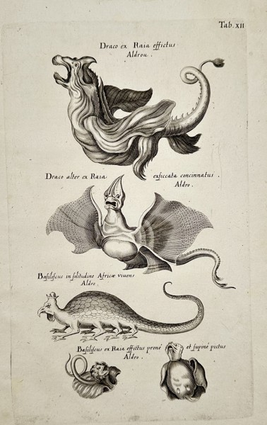 Johannes Jonstonus (1603–1675) – Mythical Creatures and Jenny Hanivers – Copper engraving (1650)