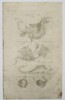 Johannes Jonstonus (1603–1675) – Mythical Creatures and Jenny Hanivers – Copper engraving (1650)