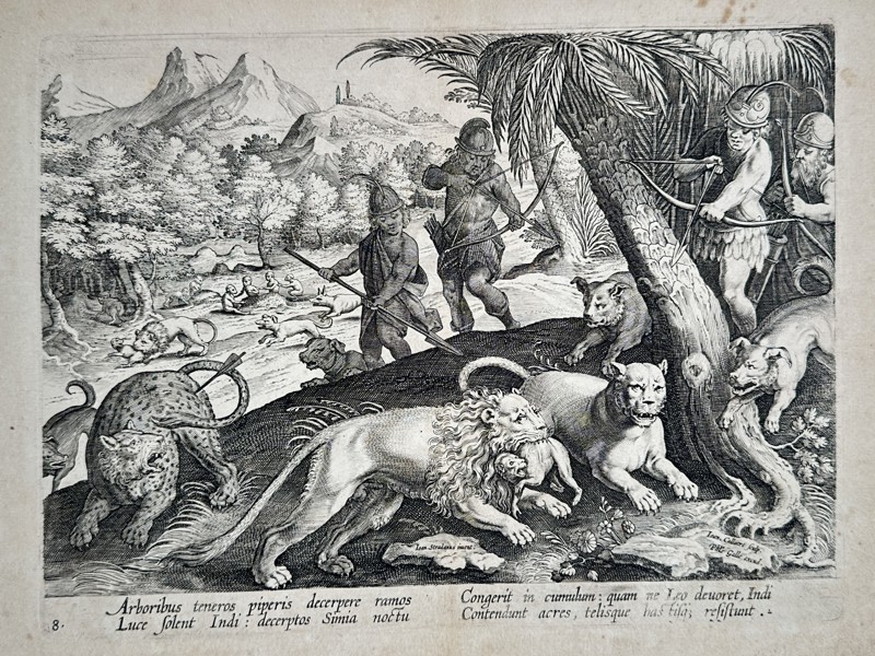 Johannes Stradanus (1523–1605) – Monkeys Gathering Pepper Under Threat of Lions – Engraving (1578)