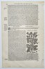 Pietro Andrea Mattioli (1501–1577) – Botanical Study of Gingidium, Chervil, and Visnaga – Woodcut (1572)