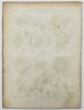 Jacques-Christophe de Sève (1735–1795) – Botanical Study of Argemone and Sarracenia – Engraving (1791)
