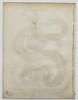 Robert Benard (1734–1777) – Herpetological Study of Snakes – Engraving (1791)