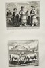 Cornelis de Bruyn (1652–1726) – Ethnographic Study of Samoyed People and Northern Fauna – Etching (1711)
