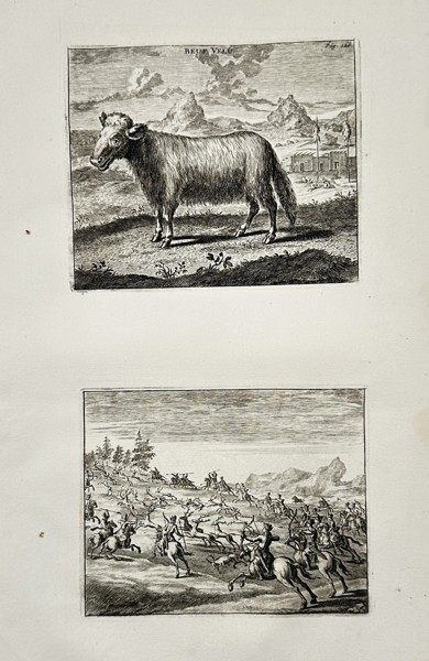 Cornelis de Bruyn (1652–1726) – Study of a Musician and an Imperial Hunt – Etching (1711)
