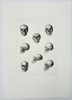 Friedrich Eppinger (Active Mid-19th Century) – Comparative Anatomical Studies of the Human Skull – Lithograph (1854)