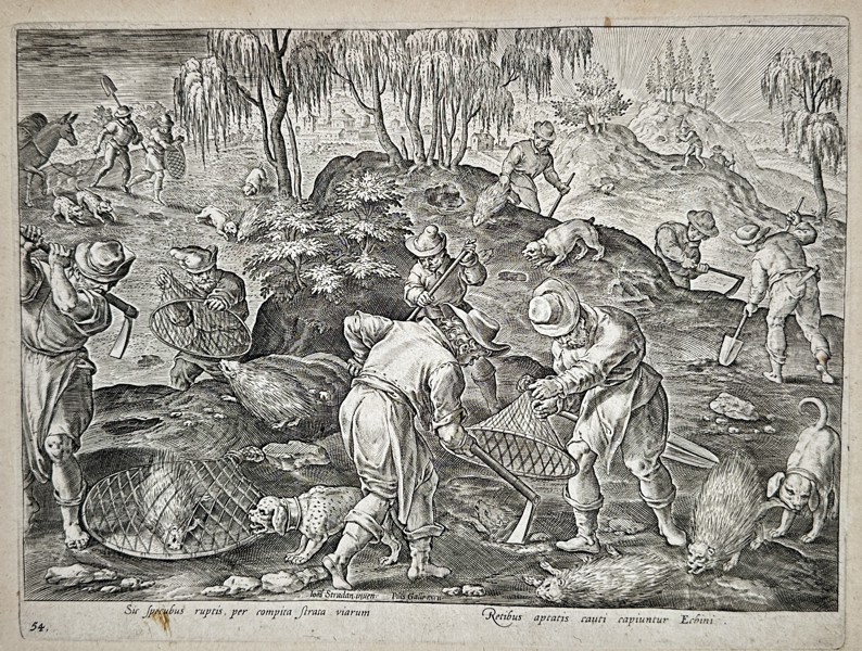 Jan van der Straet (1523–1605), after – Porcupine Hunting with Nets and Dogs – Engraving (1596)