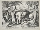 Jan van der Straet (1523–1605), after – Troglodytes Hunting Elephants with Axes – Engraving (1596)