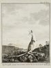 Robert Benard (1734–1777) – Study of a Kangaroo – Australia – Engraving (1772–1780)