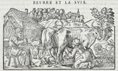 Pietro Andrea Mattioli (1501-1577) – Illustration of Butter and Milk Processing