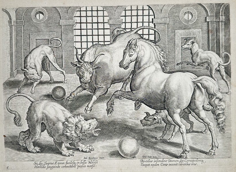Johannes Stradanus (1523-1605) – Bull, Lion, and Horse Combat – Engraving