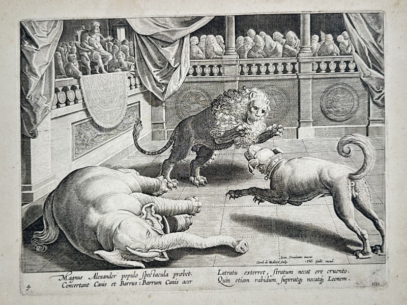 Johannes Stradanus (1523-1605) - Combat Between a Lion and a Dog in an Arena