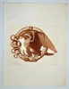 Raffaele Albertolli – Eagle and Snake on a Laurel Wreath - Large Antique Aquatin