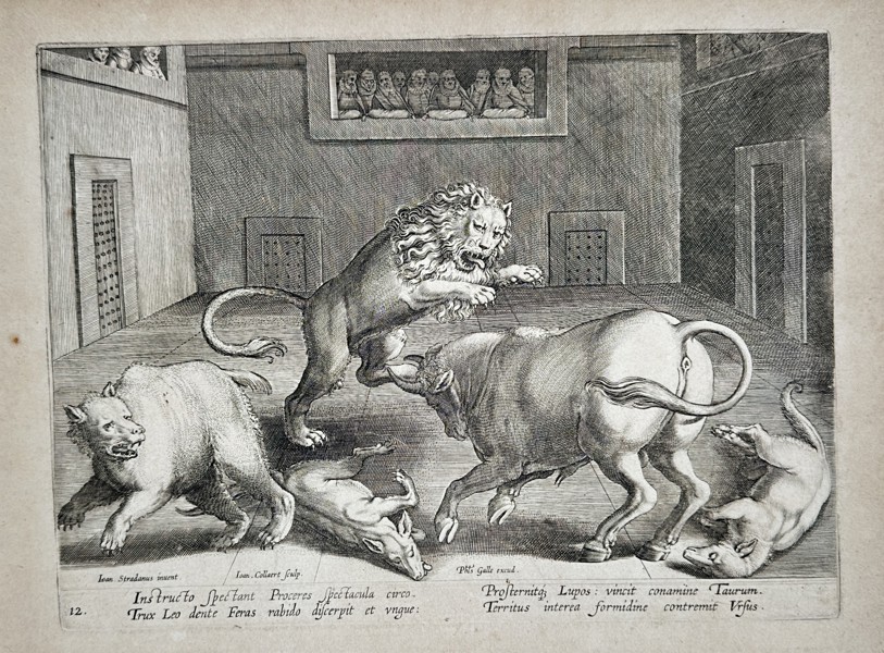 Johannes Stradanus (1523–1605) – Combat of Wild Animals in an Arena – Engraving (1578)